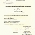 Powiększ obraz: certificate 4