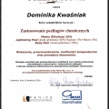 Powiększ obraz: certificate 11