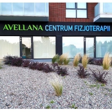 Avellana Centrum Fizjoterapii