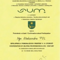 Powiększ obraz: certificate 12