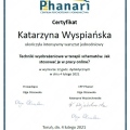 Powiększ obraz: certificate 3