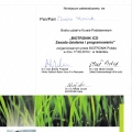 Powiększ obraz: certificate 4