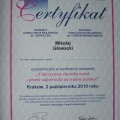 Powiększ obraz: certificate 29