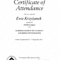 Powiększ obraz: certificate 1