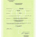 Powiększ obraz: certificate 37