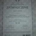 Powiększ obraz: certificate 29