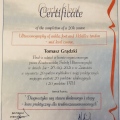 Powiększ obraz: certificate 11
