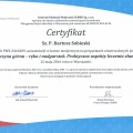 Powiększ obraz: certificate 4
