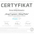 Powiększ obraz: certificate 9