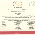 Powiększ obraz: certificate 6