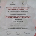 Powiększ obraz: certificate 7