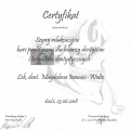 Powiększ obraz: certificate 2