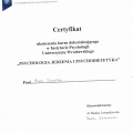 Powiększ obraz: certificate 3