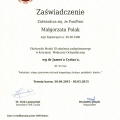 Powiększ obraz: certificate 3
