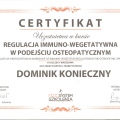 Powiększ obraz: certificate 13