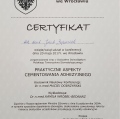 Powiększ obraz: certificate 2