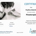 Powiększ obraz: certificate 13