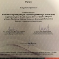 Powiększ obraz: certificate 20