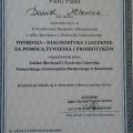Powiększ obraz: certificate 1