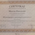Powiększ obraz: certificate 11