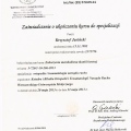 Powiększ obraz: certificate 2