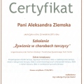 Powiększ obraz: certificate 3