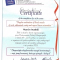 Powiększ obraz: certificate 14