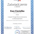 Powiększ obraz: certificate 2