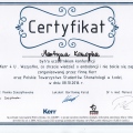 Powiększ obraz: certificate 3