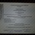 Powiększ obraz: certificate 7