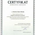 Powiększ obraz: certificate 13