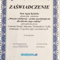 Powiększ obraz: certificate 7