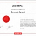 Powiększ obraz: certificate 28