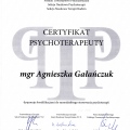 Powiększ obraz: certificate 2