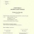 Powiększ obraz: certificate 2