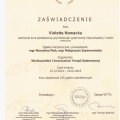 Powiększ obraz: certificate 2
