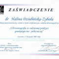 Powiększ obraz: certificate 4