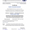 Powiększ obraz: certificate 3