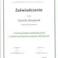 Powiększ obraz: certificate 23