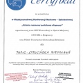 Powiększ obraz: certificate 5