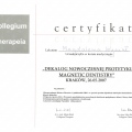 Powiększ obraz: certificate 12