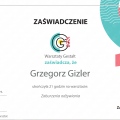 Powiększ obraz: certificate 7