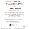 Powiększ obraz: certificate 58