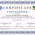 Powiększ obraz: certificate 4
