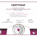 Powiększ obraz: certificate 7