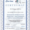 Powiększ obraz: certificate 1