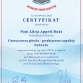 Powiększ obraz: certificate 2