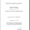 Powiększ obraz: certificate 8