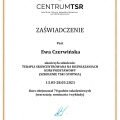 Powiększ obraz: certificate 2