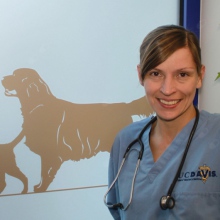 Powiększ obraz: Agnieszka Neska-Suszyńska, weterynarz Warszawa